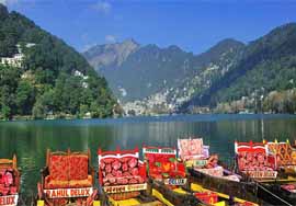 auli nainital tour packages